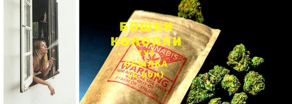 дмт Елизово