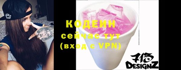 дмт Елизово