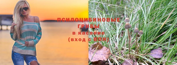 дмт Елизово