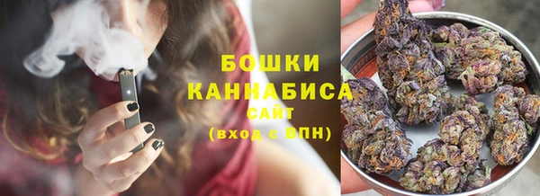 таблы Ельня