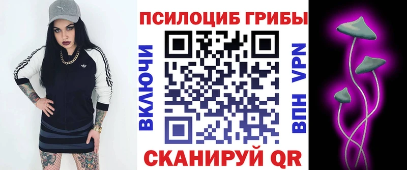 Купить закладки  Кизилюрт  Галлюциногенные грибы MAGIC MUSHROOMS 
